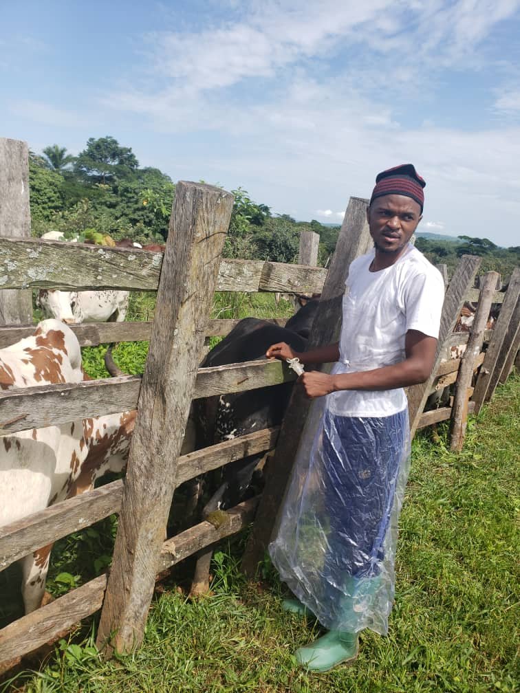 Ngehdzeyelah LEO Liishaa